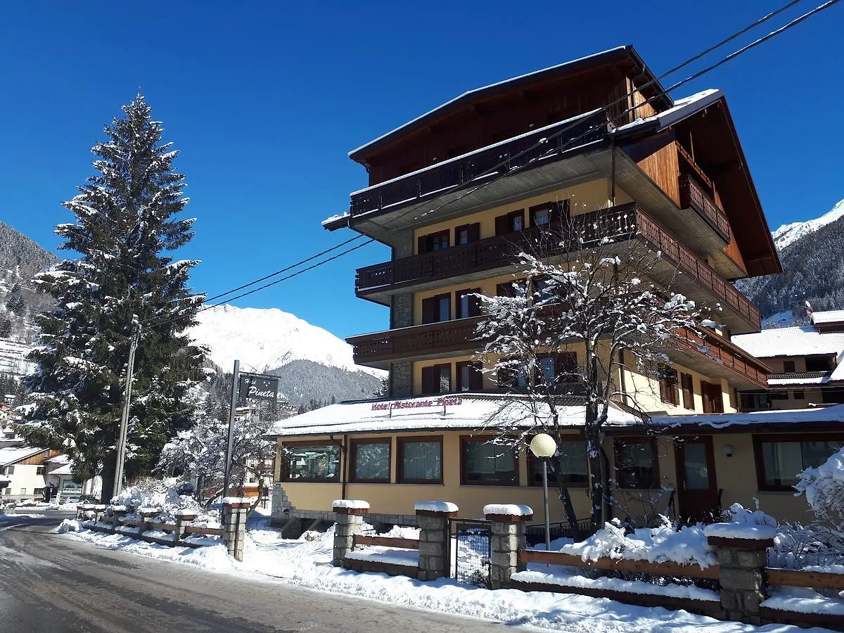 Hotel Pineta Ponte Di Legno